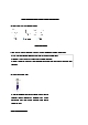 제한효소를 이용한 Restriction of DNA 결과레포트 [A+]   (4 )